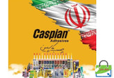 چسب سیلیکون کاسپین مدل سفید حجم 300 میلی لیتر در زگیر مقاوم در برابر آب و اشعه فرابنفش مناسب برای شیشه کاشی فلز چوب و پلاستیک ضد قارچ و پایدار در دمای منفی 20 تا مثبت 120 درجه سانتی گراد